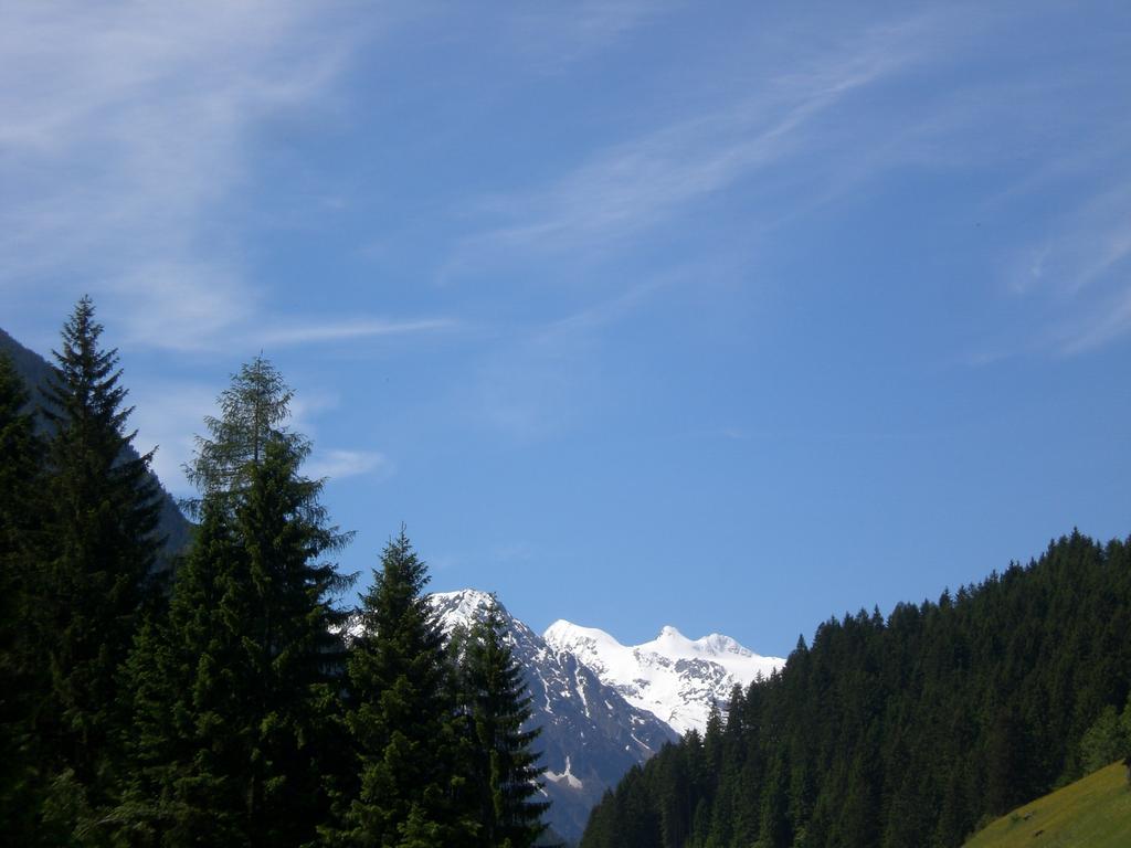 Landhaus Auen Neustift im Stubaital Exterior foto